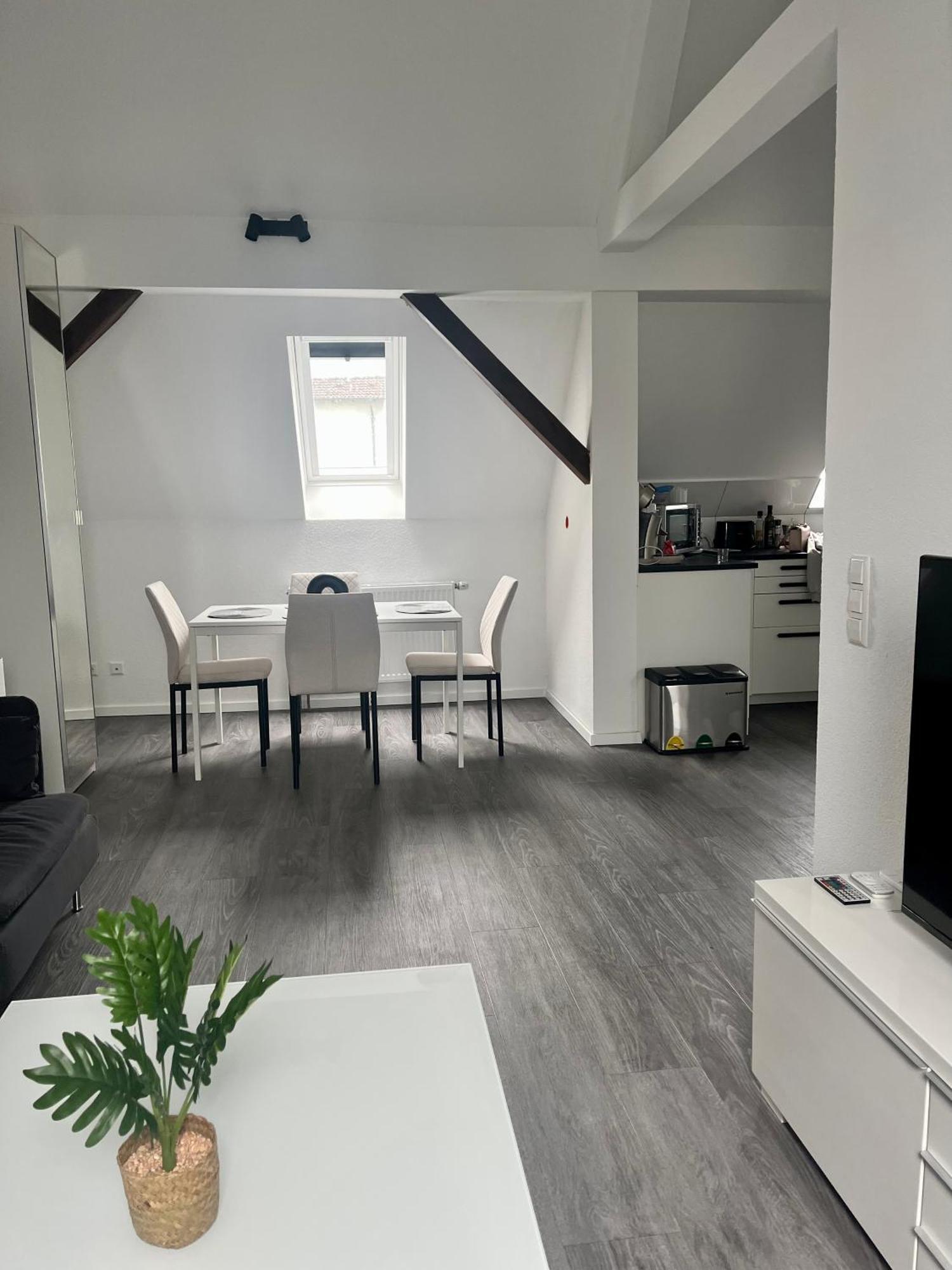 Rk-Lounge,2- Zimmer Wohnung - Modern Und Stylisch Baden-Baden Esterno foto