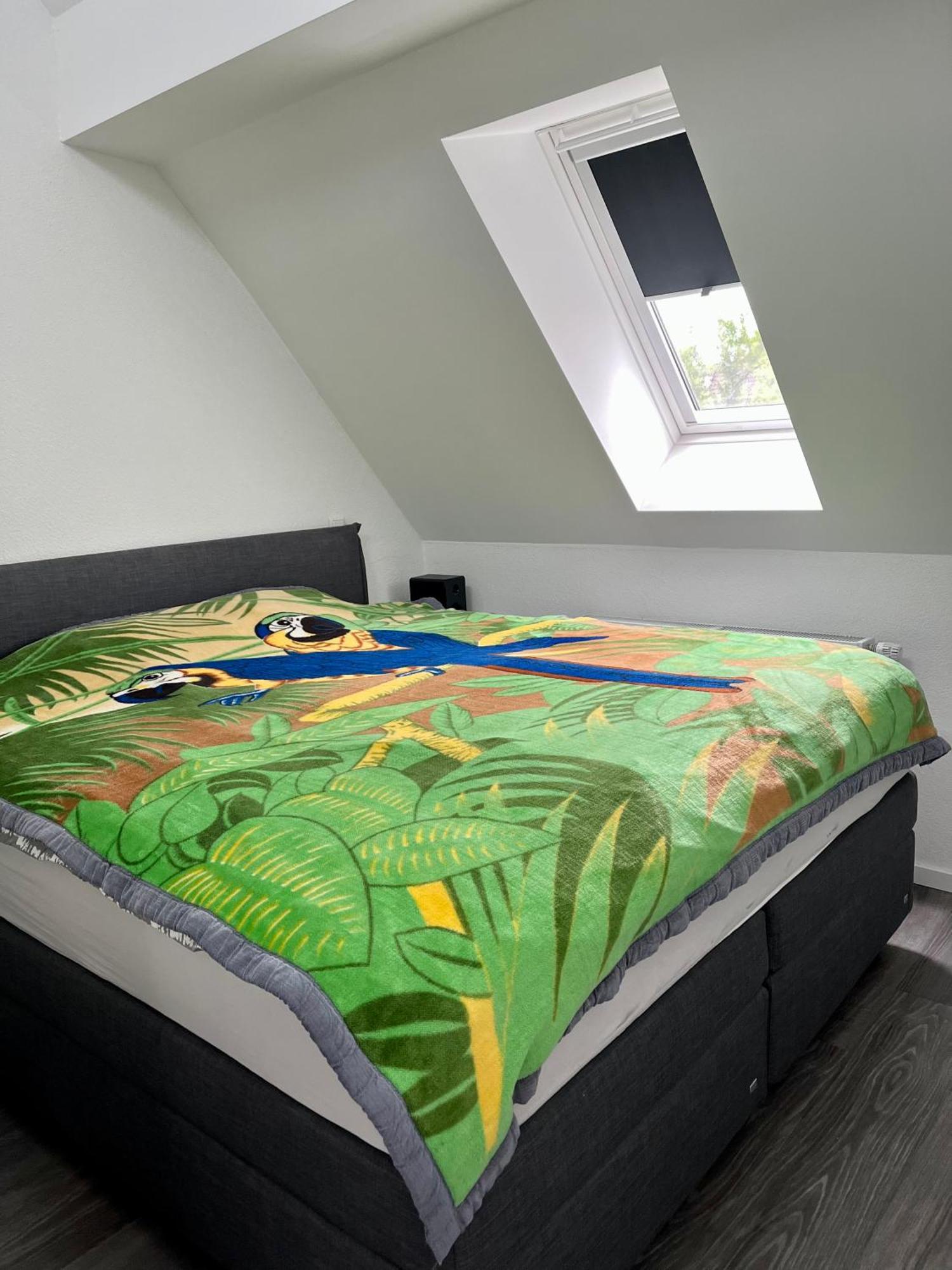 Rk-Lounge,2- Zimmer Wohnung - Modern Und Stylisch Baden-Baden Esterno foto